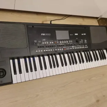 Prodám klávesy Korg PA 300 - Platí do smazání